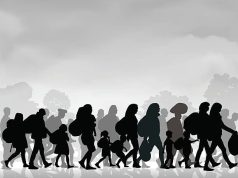 Migration
