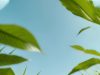 Environnement