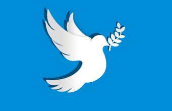 Appel du chant d’oiseau 2015