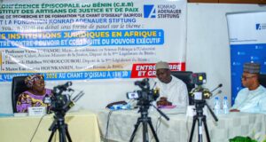 Les institutions juridiques en Afrique : entre contre pouvoir et continuité du pouvoir exécutif.