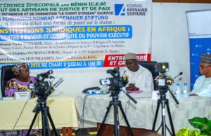 Les institutions juridiques en Afrique : entre contre pouvoir et continuité du pouvoir exécutif.